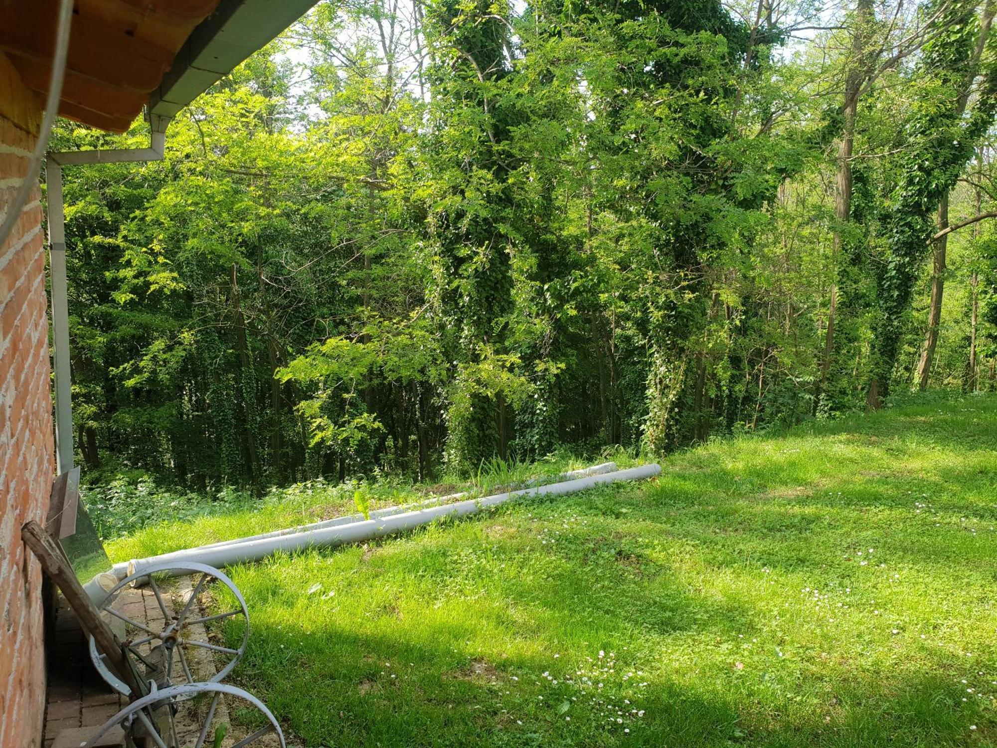 Вилла Ruralna Kuca Za Odmor Golub Skaricevo Экстерьер фото